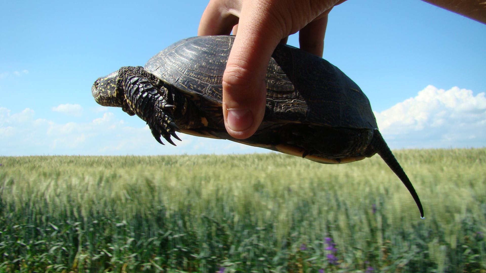 Blasova Mai 2013 - dsc02444.JPG